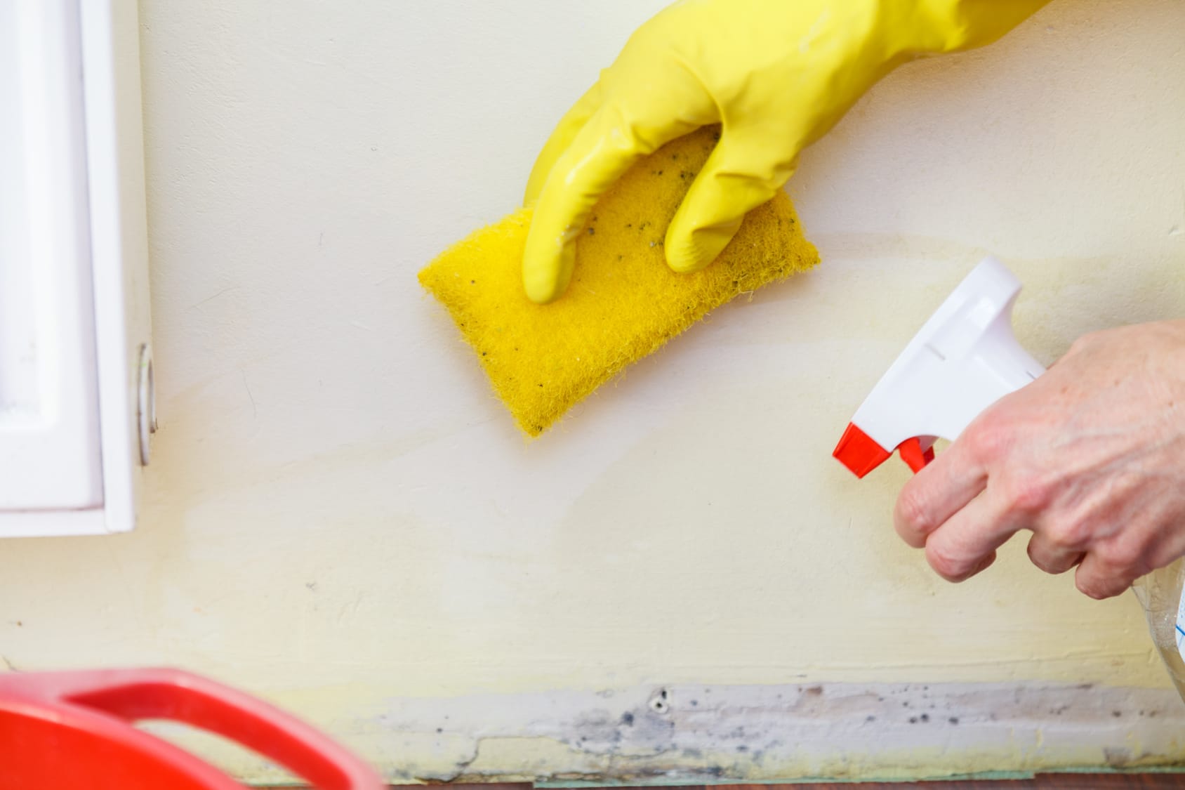 You are currently viewing How to Prevent Mould Remediation in Your Sunshine Coast, BC Home