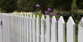 Fence Rental Temporary in Gibsons