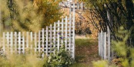 Temporary fence rental in Roberts Creek