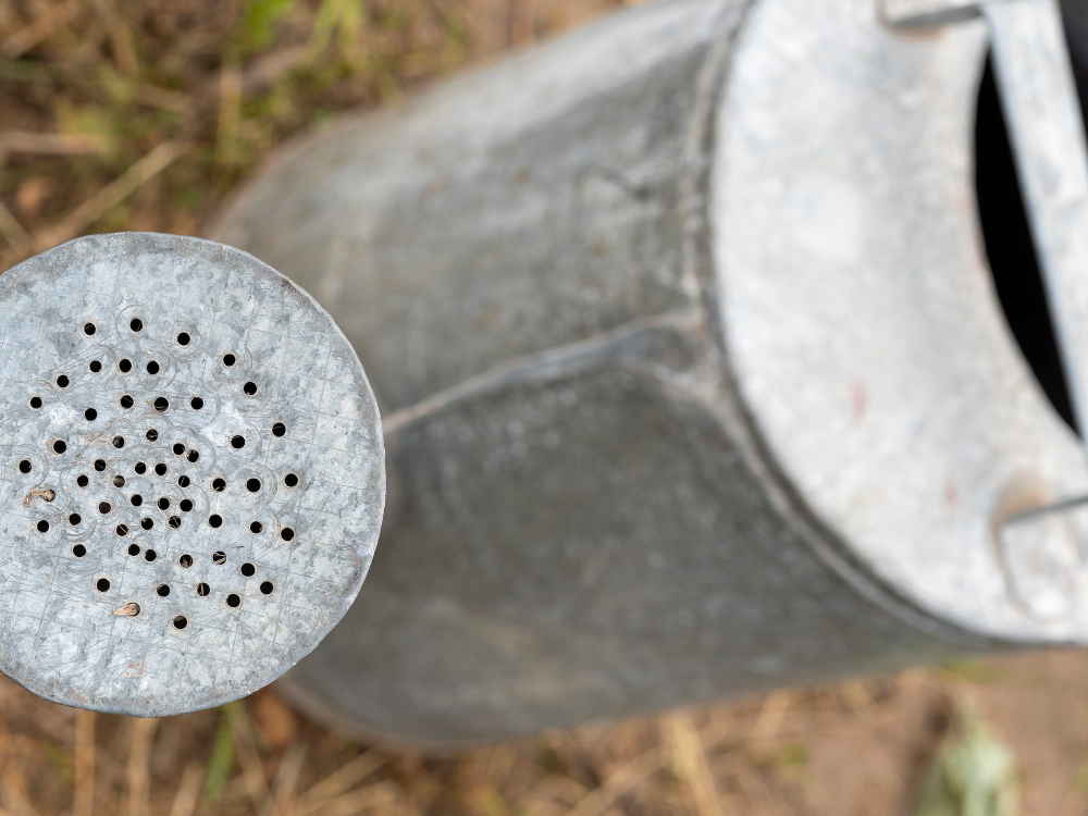 You are currently viewing A Primer on Hydro Flushing Drains in Pender Harbour in Industrial Settings