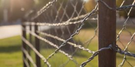 Securing Your Space with a Temporary Fence Rental in Egmont