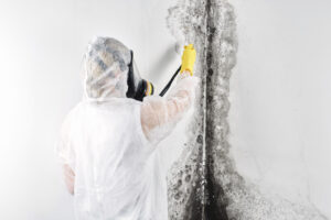 Mould Remediation in Sunshine Coast