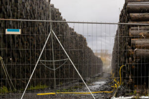 Fence Rental Construction in Egmont