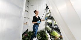 Power Meets Precision: Professional Hydro Cleaning Services in Burnaby